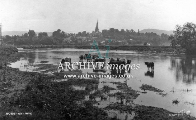 Ross on Wye, from river M