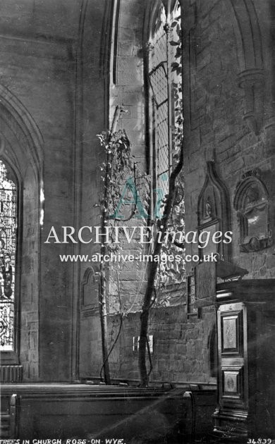 Ross on Wye, Trees in St Mary's church