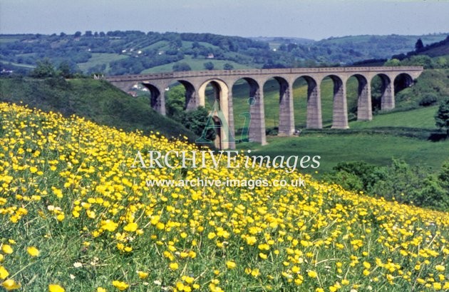 Cannington Viaduct c1970 