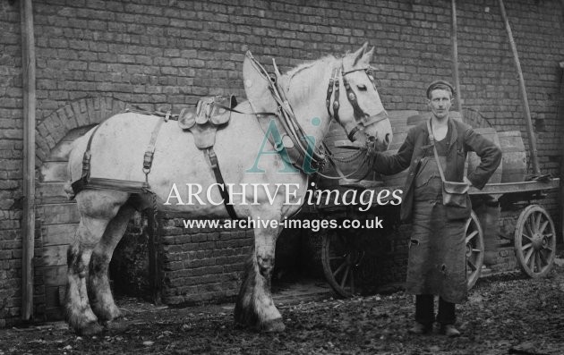 Edwardian Carthorse & Dray MD