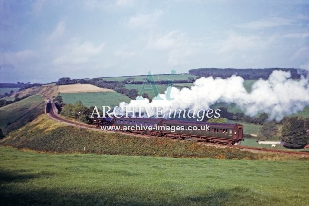 Cannington Viaduct & Train 1960